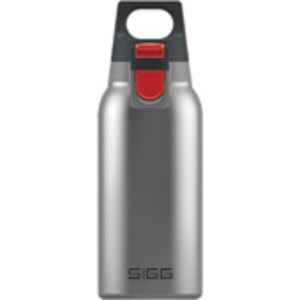 Sigg Thermo Bottle One Brushed Hot&Cold 0.3Liter '19 8581.70